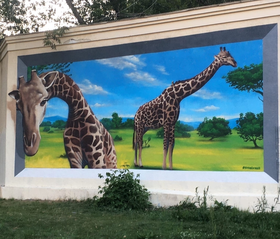 Описание изображения